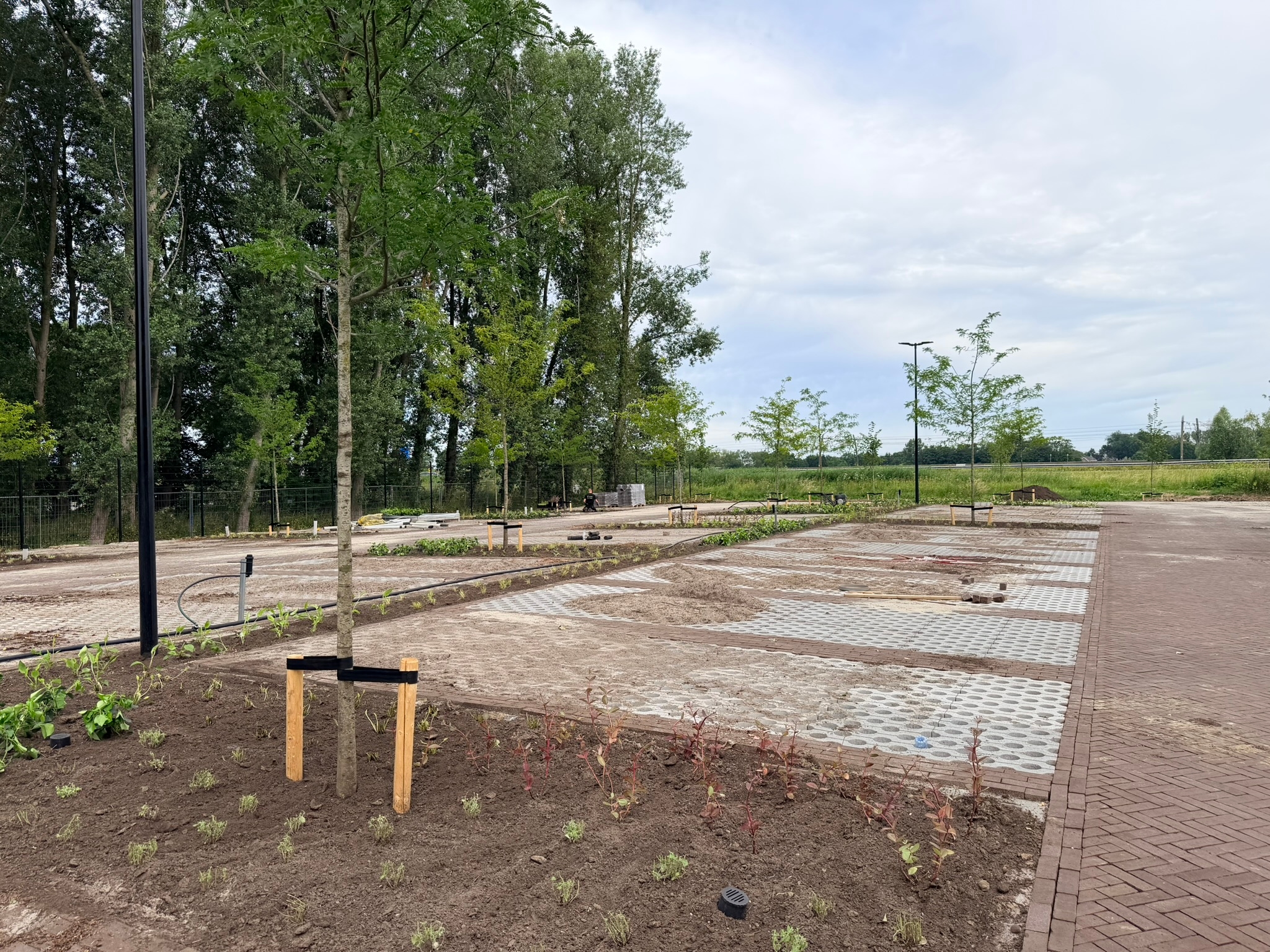 2. Parkeren en bos
