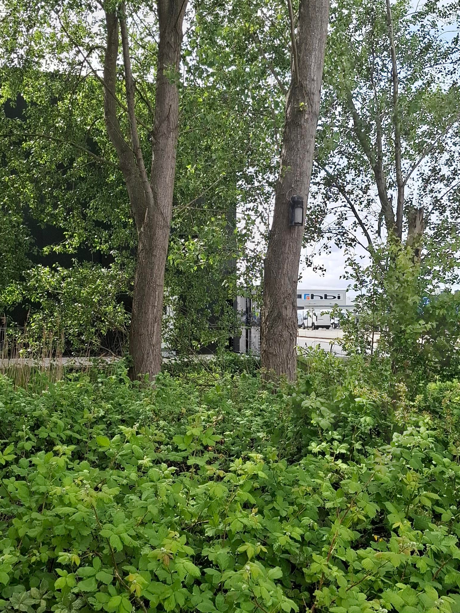 2. Parkeren en bos 1.jpg